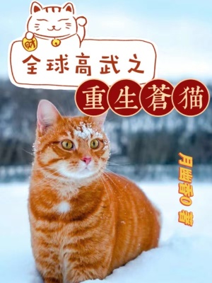 ȫ�����֮������è