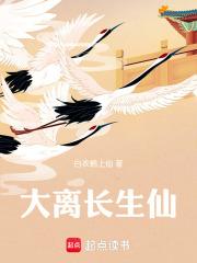 ���볤����