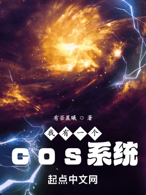 ����һ��cosϵͳ