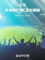 ��������ķ����C��˫ģ��