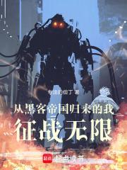 �Ӻڿ͵۹�����������ս����