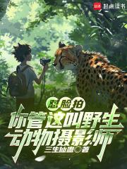 �����ģ�������Ұ��������Ӱʦ